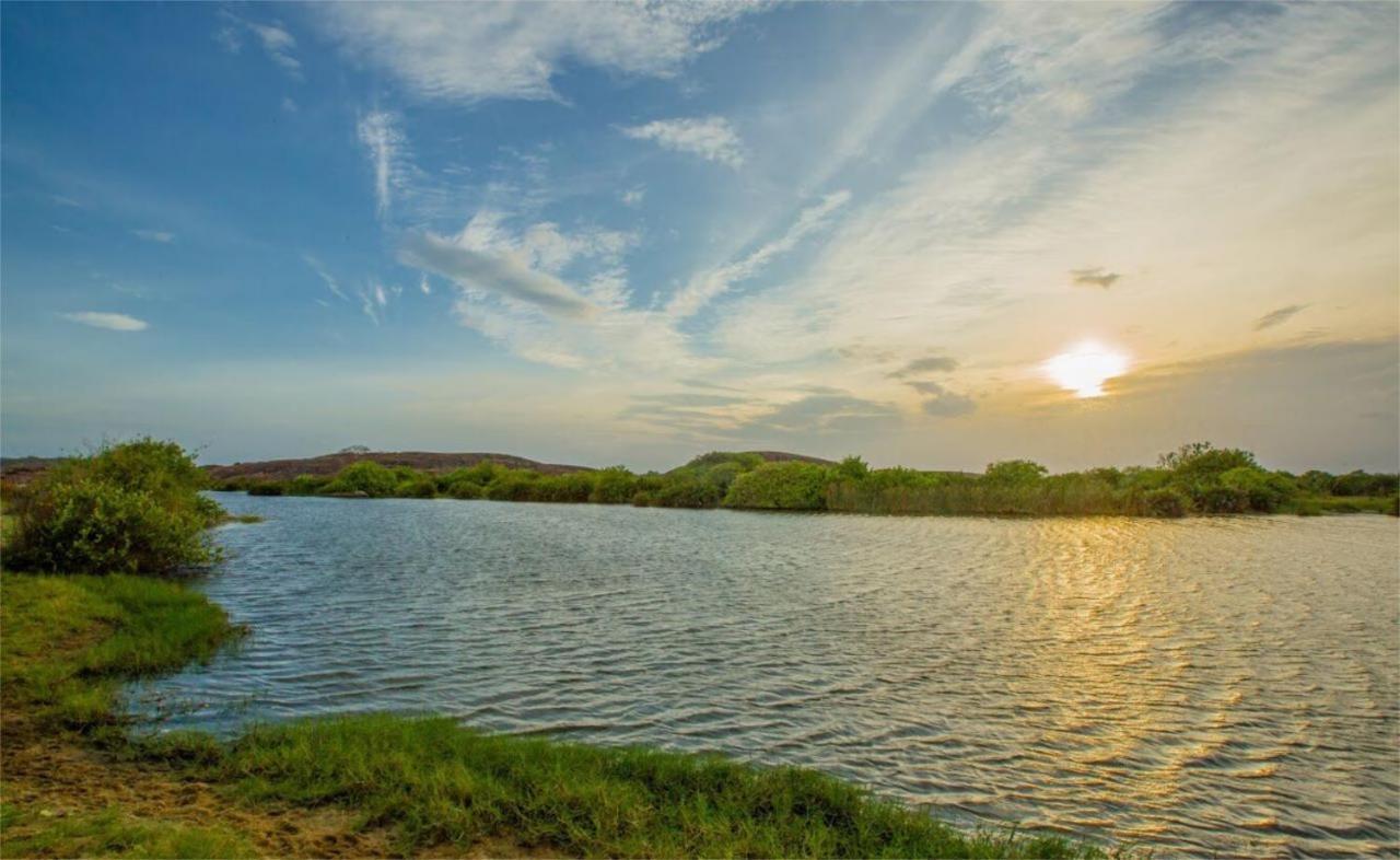 Nikara Nature Resort Arugam Bay Eksteriør billede